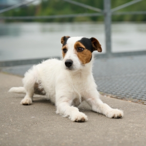 Unser Baustellen Maskottchen